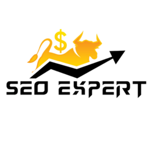 Seo Expert Logo